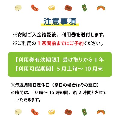 高原BBQ+高原ミニソフト&ドリンク付き 4名様分【準備・炭起こし・片付け込み】
