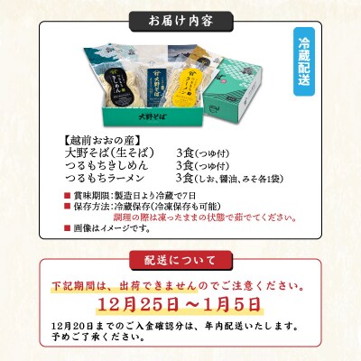 越前大野産 石臼挽き 越前そば 生そば+きしめん+ラーメン 各3食セット(つゆ、スープ付)