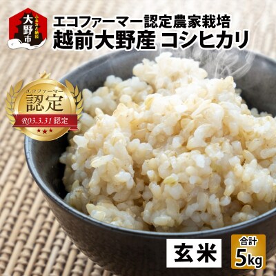 【令和7年産】【有機栽培】越前大野産 エコファーマー認定農家栽培 こしひかり5kg(玄米)