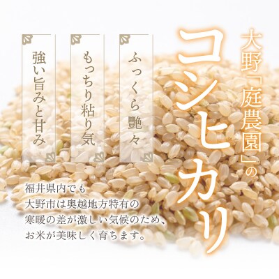 【令和7年産】【有機栽培】越前大野産 エコファーマー認定農家栽培 こしひかり5kg(玄米)