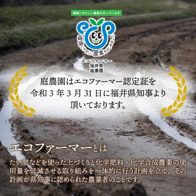【令和7年産】【有機栽培】越前大野産 エコファーマー認定農家栽培 こしひかり5kg(玄米)