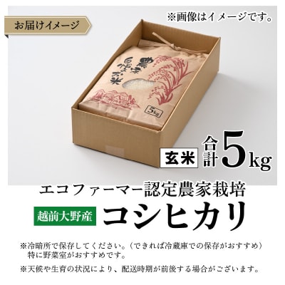 【令和7年産】【有機栽培】越前大野産 エコファーマー認定農家栽培 こしひかり5kg(玄米)