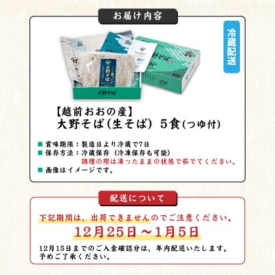 越前大野産 石臼挽き 越前そば 生そば5食(つゆ付)