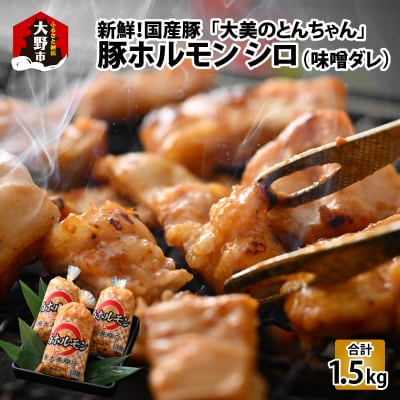 大美のとんちゃん(白)豚ホルモン シロ 味噌ダレ 1.5kg(500g×3パック)