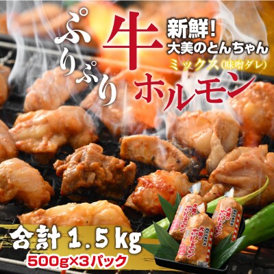 大美のとんちゃん(ミックス)牛ホルモン ミックス 味噌ダレ 1.5kg(500g×3パック)
