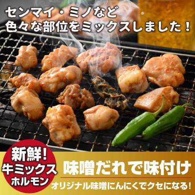 大美のとんちゃん(ミックス)牛ホルモン ミックス 味噌ダレ 1.5kg(500g×3パック)