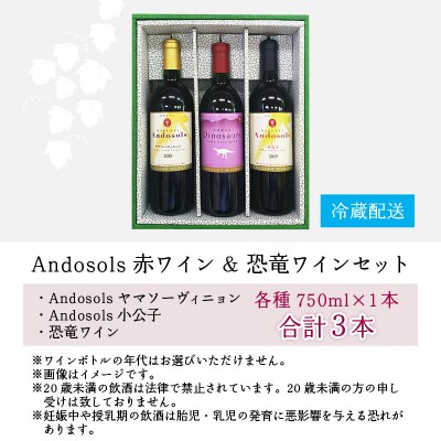 Andosols赤ワイン&恐竜ワインセット