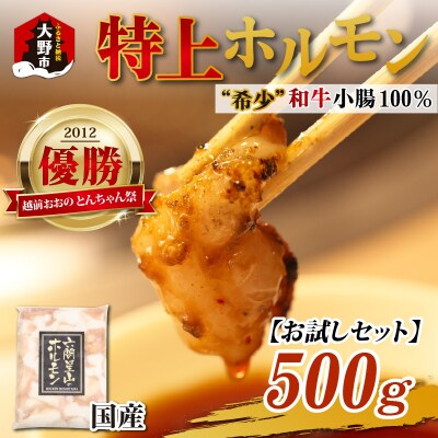 【お試しセット】とんちゃん祭2012年優勝!特上ホルモン(和牛小腸100%)(500g×1袋)