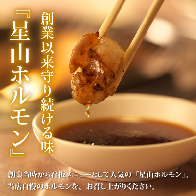 【お試しセット】ホルモンの老舗 六間星山の牛ホルモン(ミックス)(500g×1袋)