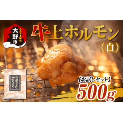 【お試しセット】ホルモンの老舗 六間星山の牛上ホルモン(白)(500g×1袋)
