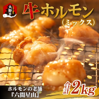 ホルモンの老舗 六間星山の牛ホルモン(ミックス)2kg(500g×4袋)