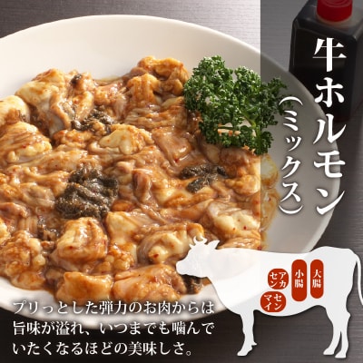 ホルモンの老舗 六間星山の牛ホルモン(ミックス)2kg(500g×4袋)