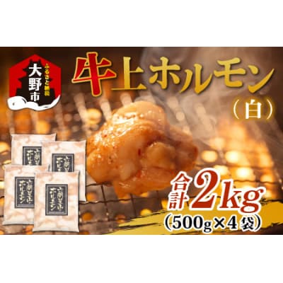 ホルモンの老舗 六間星山の牛上ホルモン(白)2kg(500g×4袋)