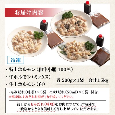 六間星山のホルモン食べ比べセット1.5kg(500g×3袋)