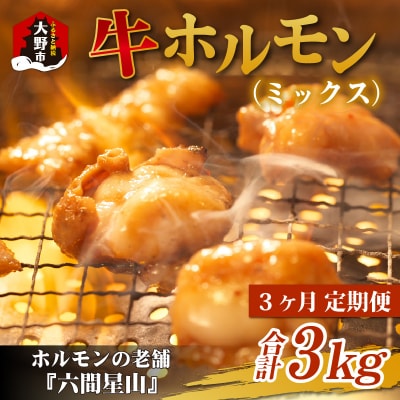 【3ヶ月定期便】ホルモンの老舗 六間星山の牛ホルモン(ミックス)1kg(500g×2袋)×3回