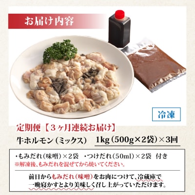 【3ヶ月定期便】ホルモンの老舗 六間星山の牛ホルモン(ミックス)1kg(500g×2袋)×3回