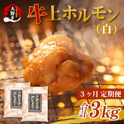 【3ヶ月定期便】ホルモンの老舗 六間星山の牛上ホルモン(白)1kg(500g×2袋)×3回