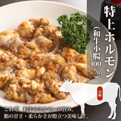 【3ヶ月定期便】とんちゃん祭2012年優勝!ホルモン1kg(500g×2袋)×3回