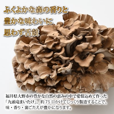 九頭竜まいたけ 1株入り 