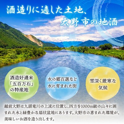 越前大野の地酒「荒島岳純米酒」「大野小町」720ml × 2本【お中元】