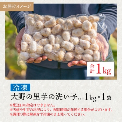 【先行予約】簡単手間なし!冷凍のまま調理!大野の里芋の洗い子 1kg×1袋