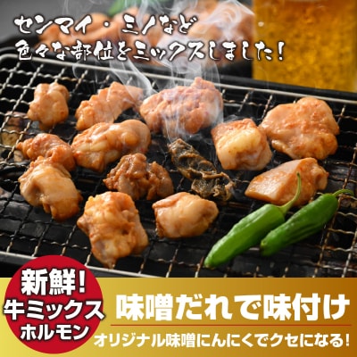 大美のとんちゃん(ミックス)牛ホルモン ミックス 味噌ダレ 1kg(500g×2パック)