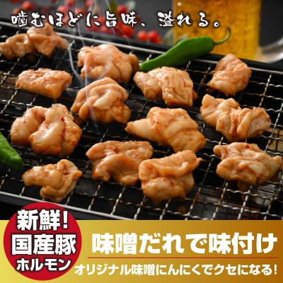 大美のとんちゃん(白)豚ホルモン シロ 味噌ダレ 1kg(500g×2パック)