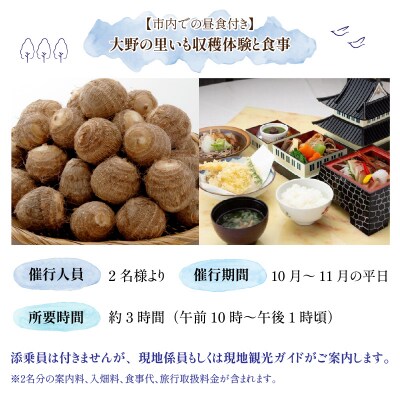 【里いものお土産付き♪】大野の里いも収穫体験と食事(2名様分)