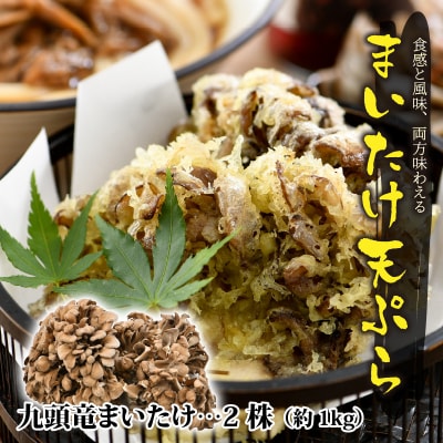 九頭竜まいたけとうま煮・ごはんの素など加工品セット(Bセット)