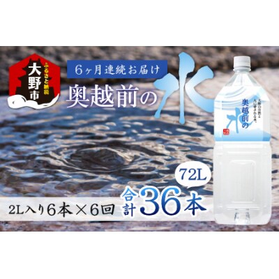 【6ヶ月連続お届け】奥越前の水　PET2L×6本 計36本