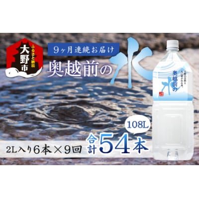 【9ヶ月連続お届け】奥越前の水 PET2L×6本 計54本