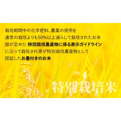 【令和7年産】【3ヶ月定期便】こしひかり 3kg × 3回 計9kg【白米】「特別栽培米」