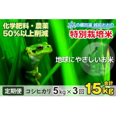 【令和7年産】【3ヶ月定期便】こしひかり 5kg × 3回 計15kg【白米】「特別栽培米」