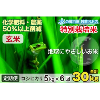 【令和7年産】【6ヶ月定期便】こしひかり 5kg × 6回 計30kg【玄米】「特別栽培米」