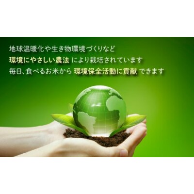 【令和7年産】【6ヶ月定期便】こしひかり 5kg × 6回 計30kg【玄米】「特別栽培米」