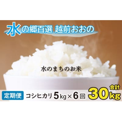 【令和7年産】【6ヶ月定期便】こしひかり 5kg×6回 計30kg【白米】「エコファーマー米」