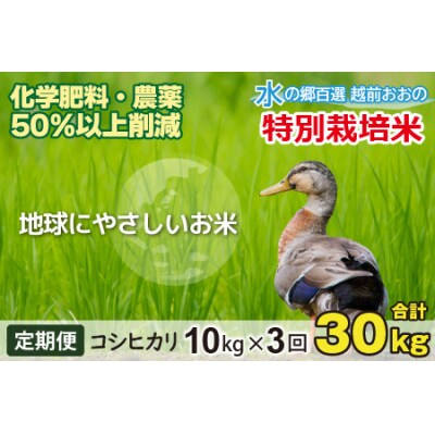 【令和7年産】【3ヶ月定期便】こしひかり 10kg × 3回 計30kg【白米】「特別栽培米」