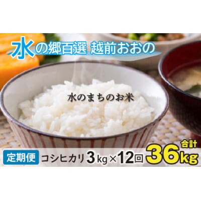 【令和7年産】【12ヶ月定期便】こしひかり 3kg×12回 計36kg【白米】「エコファーマー米」