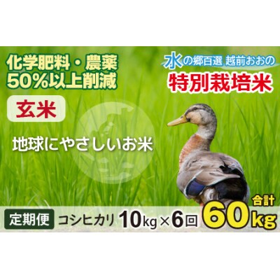 【令和7年産】【6ヶ月定期便】こしひかり 10kg × 6回 計60kg【玄米】「特別栽培米」