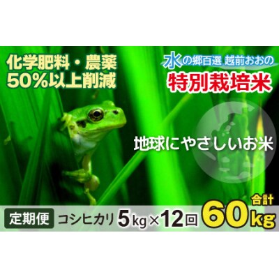【令和7年産】【12ヶ月定期便】こしひかり 5kg × 12回 計60kg【白米】「特別栽培米」
