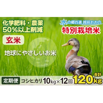 【令和7年産】【12ヶ月定期便】こしひかり 10kg × 12回 計120kg【玄米】「特別栽培米」