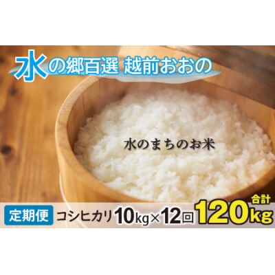 【令和7年産】【12ヶ月定期便】こしひかり 10kg×12回 計120kg【白米】「エコファーマー米