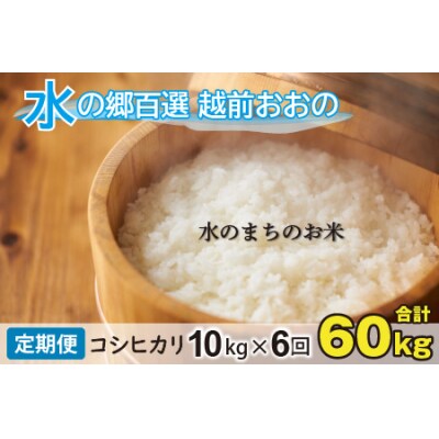 【令和7年産】【6ヶ月定期便】こしひかり 10kg×6回 計60㎏【白米】「エコファーマー米」