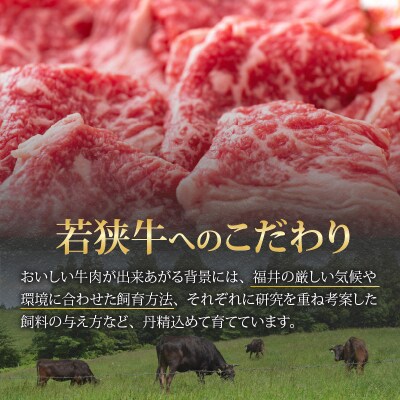 【福井のブランド牛肉】若狭牛切り落とし(モモ・肩・バラ) 450g(225g×2パック)
