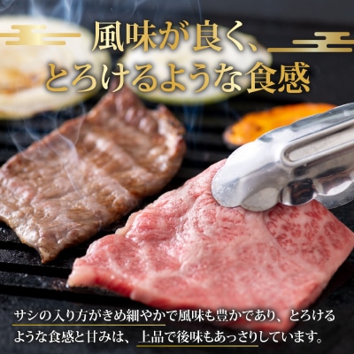【福井のブランド牛肉】若狭牛 上カルビ 焼肉用 350g×1パック【4等級以上】