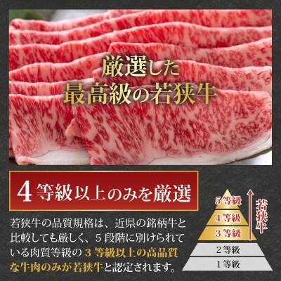 【福井のブランド牛肉】若狭牛ロース・肩ロース肉 すき焼き用 500g(250g×2パック)