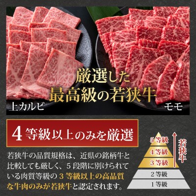 【福井ブランド牛肉】若狭牛焼肉食べ比べセット 1kg(上カルビ500g・モモ500g 各1パック)