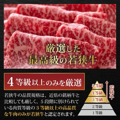 【肉の定期便×3回コース】肉好き大集合!若狭牛 食べ比べ 定期便!【福井のブランド牛肉】