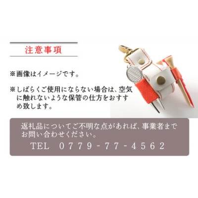 【10色(コンビ)から選べる】ゴルフボールケース”one”【ホワイトベース・グリーン】