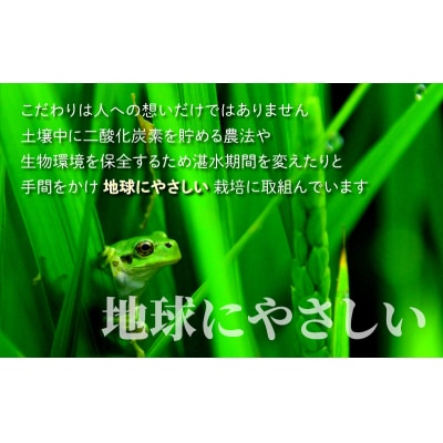 【3ヶ月定期便】地球にやさしいパックご飯 10食入り【白米】× 3回　計30食